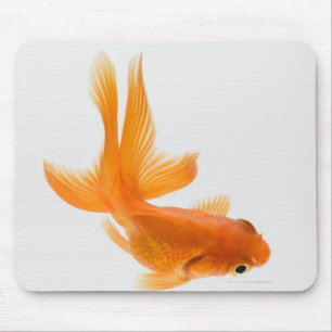 Fantail goldfish (Carassius auratus) 2 Mouse Mat