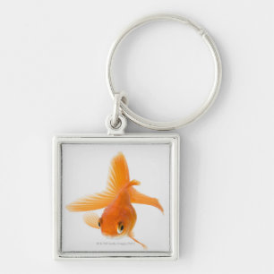 Fantail goldfish (Carassius auratus) Key Ring