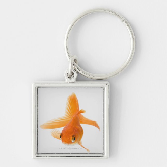 Fantail goldfish (Carassius auratus) Key Ring (Front)
