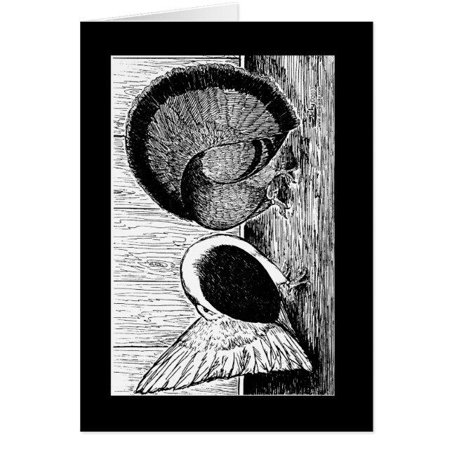 Fantail Pair (Front)