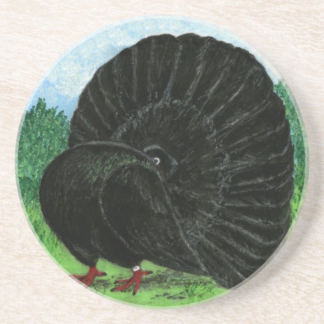 Fantail Pigeon Black Coaster (Front)