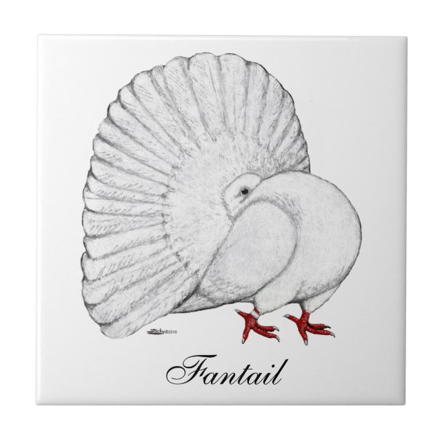 Fantail Pigeon White Tile (Front)