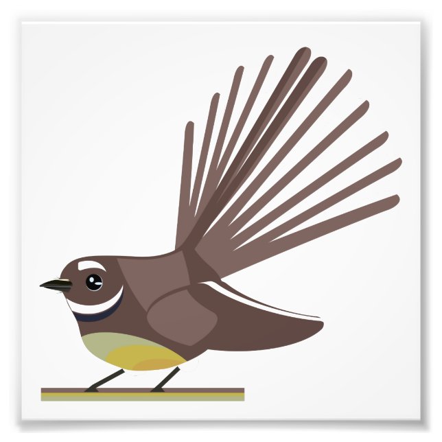 Fantail piwakawaka NZ BIRD Photo Print (Front)