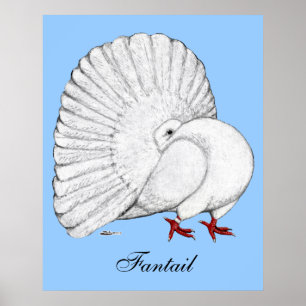 Fantail: White Poster