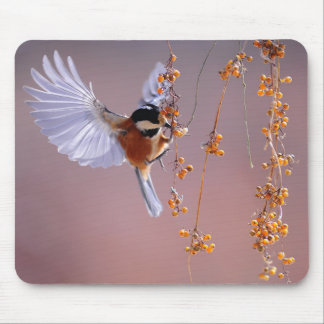 Fantastic Bird Image/ Beautiful Nature Mouse Mat