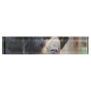 Fantastic Face of a Black Bear Nameplate