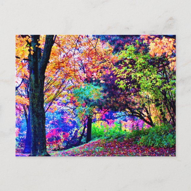 Fantastic Fall Colours Autumn Leaves Trees Scenic  Postcard (Front)