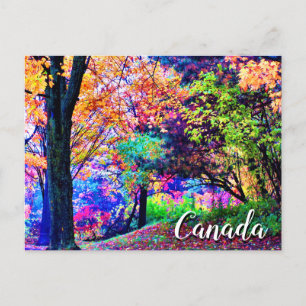 Fantastic Fall Colours Autumn Leaves Trees Scenic Postcard