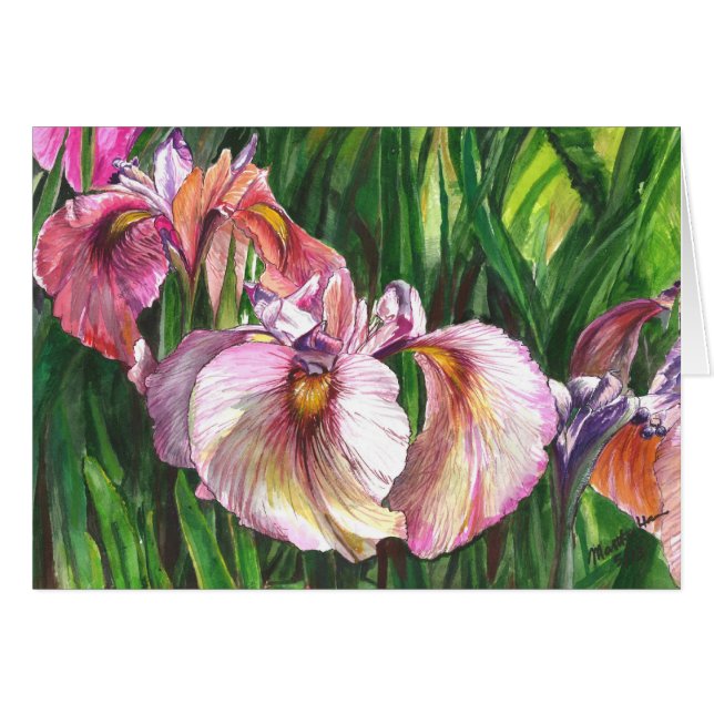 Fantastic group Iris (Front Horizontal)