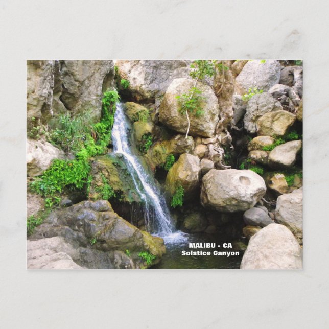 Fantastic Malibu Postcard! Postcard (Front)