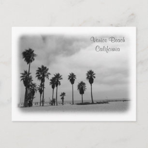 Fantastic Venice Beach Postcard! Postcard