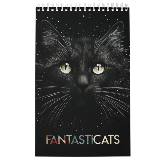 FANTASTICATS - Whimsical Cat Portraits Calendar (Cover)