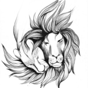 Fantasy abstractive butterfly   Flip Flops