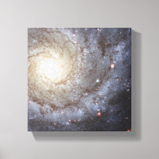 Fantasy and Space Canvas Print