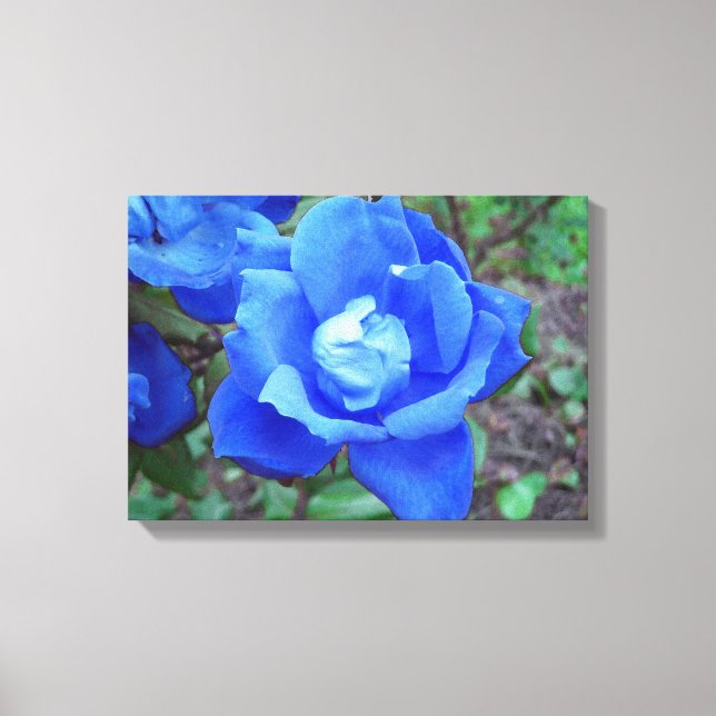 Fantasy Blue Rose Stretched Canvas Wall Decor (Front)