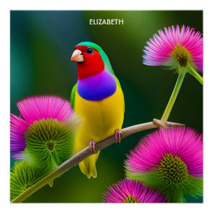 Fantasy Colorful Gouldian Finch Poster