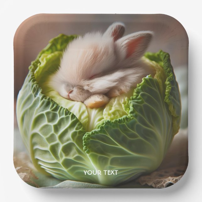 Fantasy Cute Baby Bunny Cabbage Paper Plate (Front)