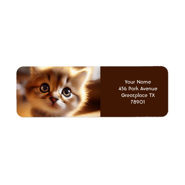 Fantasy Cute Closeup Small Kitten (Front)