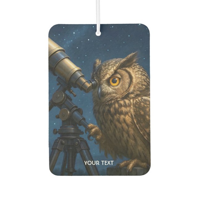 Fantasy Cute Owl Telescope Night  Car Air Freshener (Front)