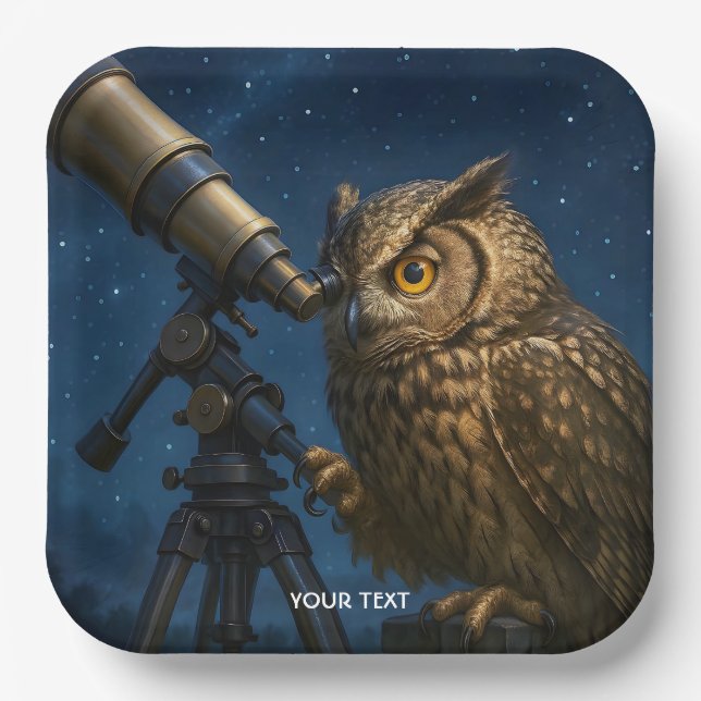 Fantasy Cute Owl Telescope Night  Paper Plate (Front)