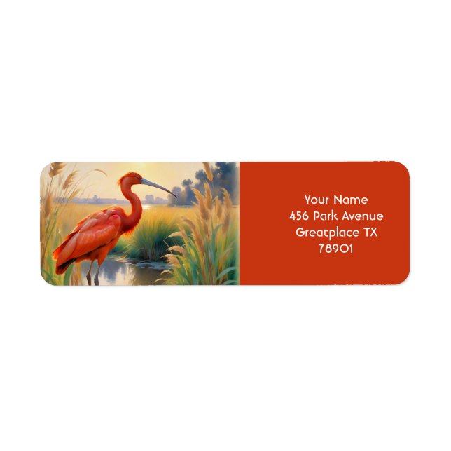 Fantasy Cute Scarlet Ibis Evening (Front)