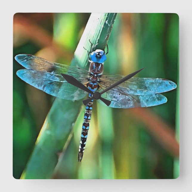 Fantasy Dragonfly In Turquoise and Black Square Wall Clock (Front)