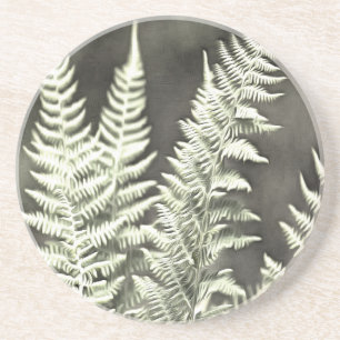 Fantasy Feather Like Fern Coaster