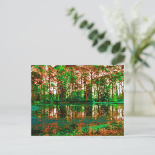 Fantasy Forest by Shirley Taylor Postcard