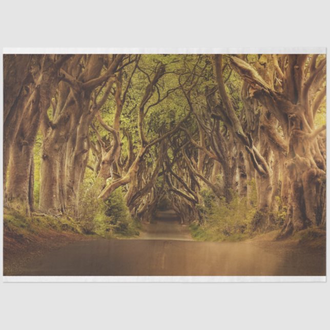 Fantasy Forest Gothic 20x30 Decoupage Tissue Paper (Front)