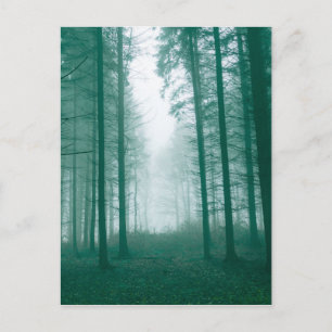 Fantasy forest with fog in Green Postcard