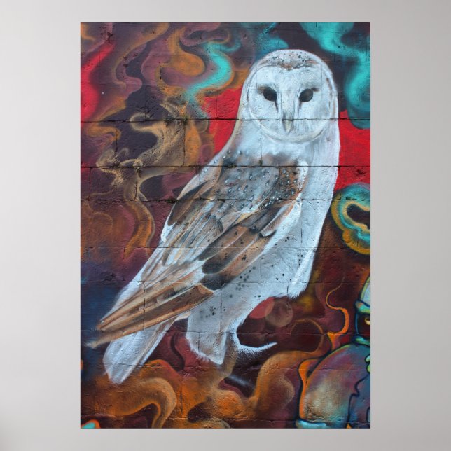 Fantasy Graffiti Snowy Owl Poster (Front)