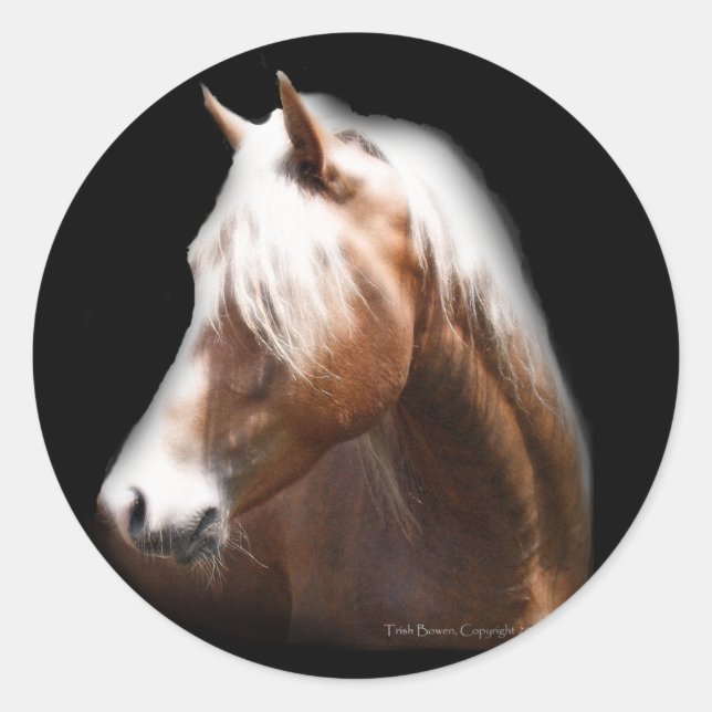 Fantasy Horse in Black Classic Round Sticker (Front)