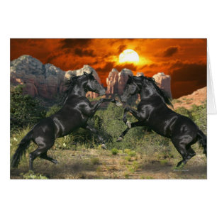 Fantasy Horses: Black Magic