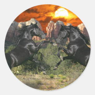 Fantasy Horses: Black Magic Classic Round Sticker