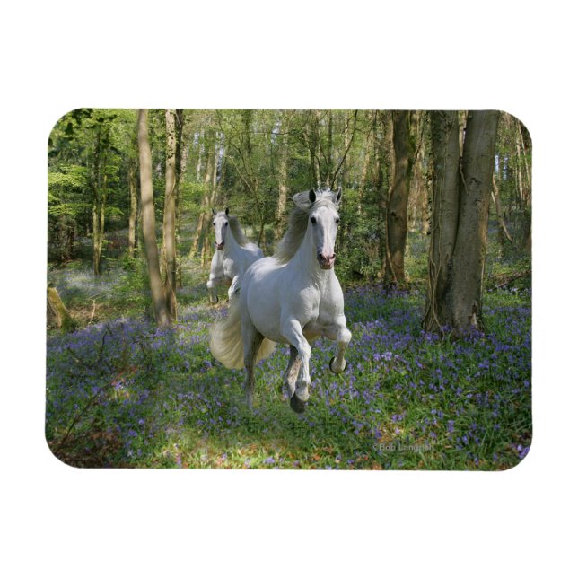 Fantasy Horses: Bluebell Wood Magnet (Horizontal)