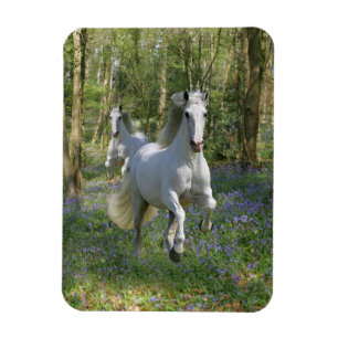 Fantasy Horses: Bluebell Wood Magnet