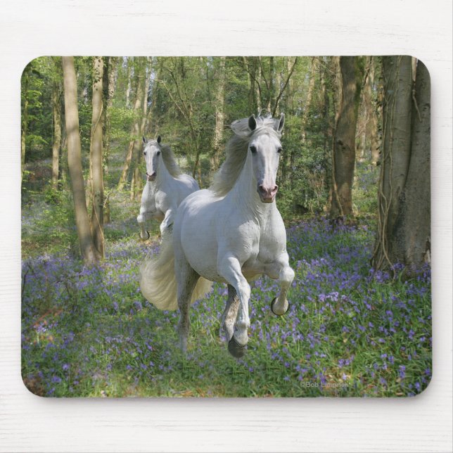 Fantasy Horses: Bluebell Wood Mouse Mat (Front)