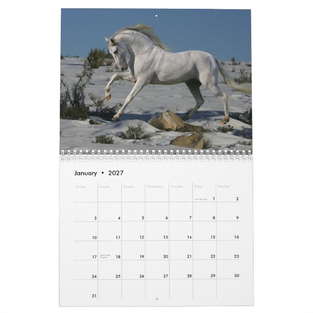 Fantasy Horses Calendar (Jan 2027)