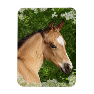 Fantasy Horses: Flowers Magnet