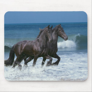 Fantasy Horses: Friesians & Sea Mouse Mat