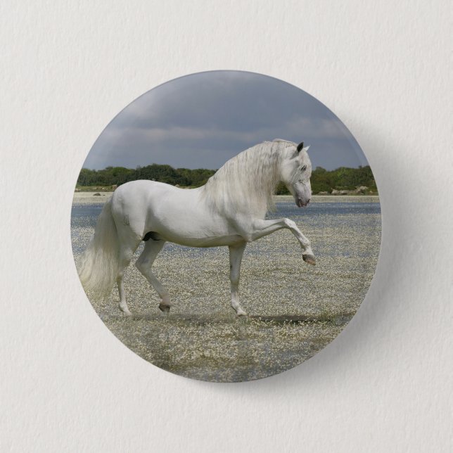 Fantasy Horses: Lord of the Lake 6 Cm Round Badge (Front)