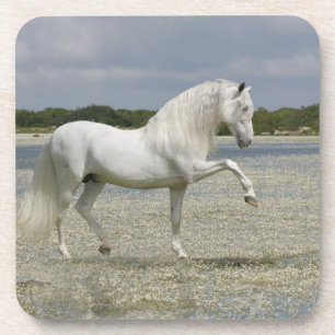 Fantasy Horses: Lord of the Lake Coaster