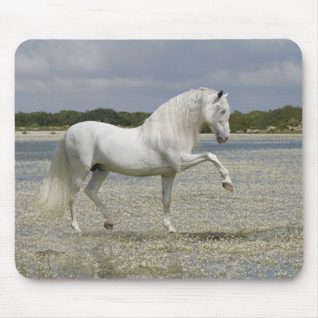 Fantasy Horses: Lord of the Lake Mouse Mat (Front)