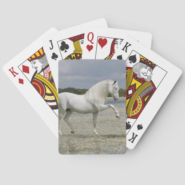 Fantasy Horses: Lord of the Lake Playing Cards (Back)