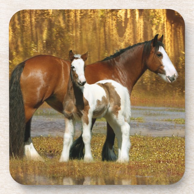 Fantasy Horses: Mare & Foal Coaster (Front)