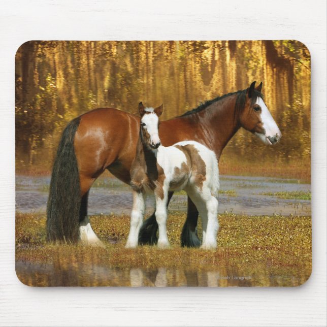 Fantasy Horses: Mare & Foal Mouse Mat (Front)