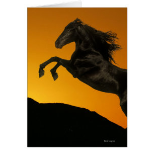 Fantasy Horses: Mountain Sunset