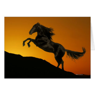 Fantasy Horses: Mountain Sunset
