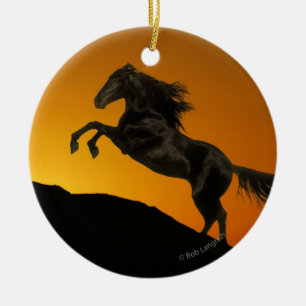 Fantasy Horses: Mountain Sunset Ceramic Tree Decoration