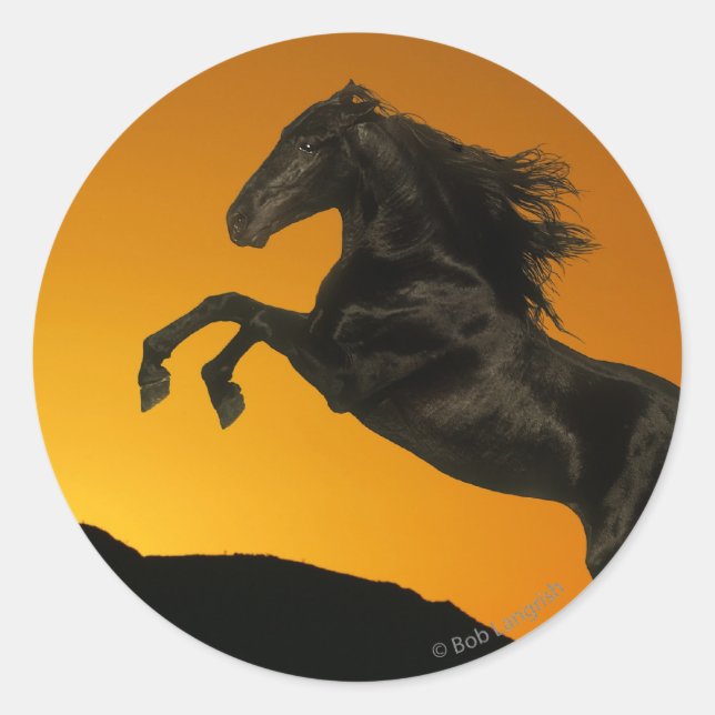 Fantasy Horses: Mountain Sunset Classic Round Sticker (Front)